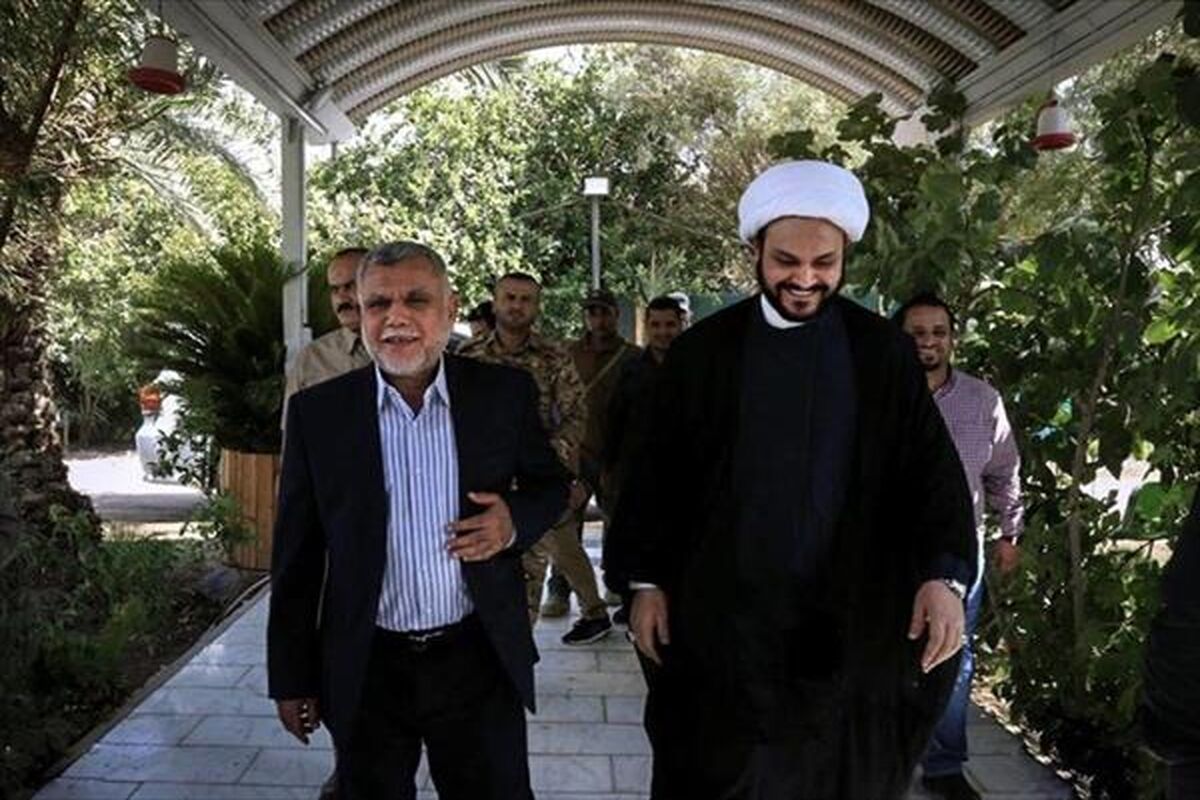 هادی عامری