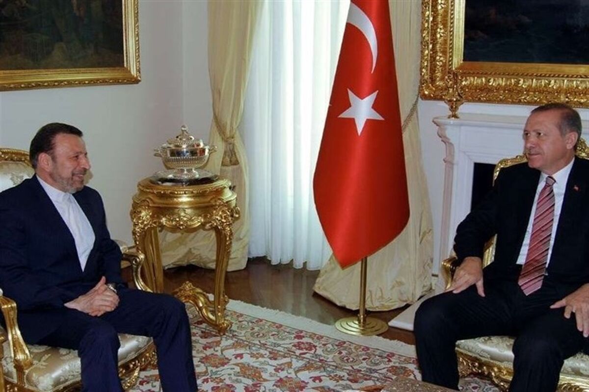 دیدار واعظی با اردوغان