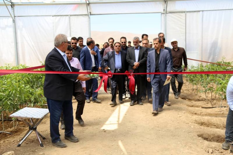 کشاورزان شهرستان تویسرکان اقدامی ارزشمند را به ثمر رساندند