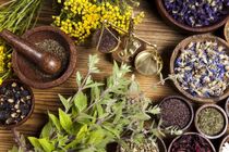 کشت ۷۵ درصد از گونه‌های گیاهان دارویی ایران در استان اصفهان