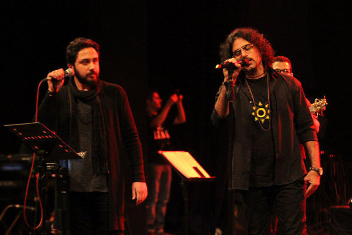 گروه دارکوب