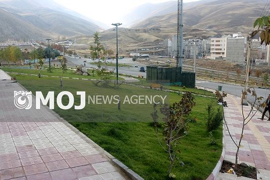 سال گذشته 13 هزار متر مربع فضای سبز در سطح منطقه یک سنندج احداث شد