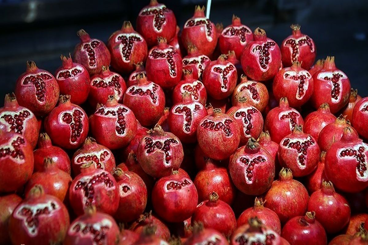 نمایشگاه شب یلدا در رشت