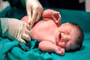 نخستین زایمان موفق با روش IUI در بیمارستان شهدا بندرلنگه