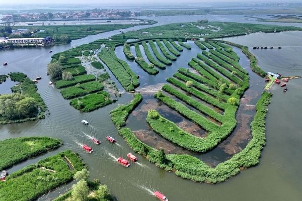 پیش‌نویس نخستین قانون جامع محیط زیستی چین ارائه شد