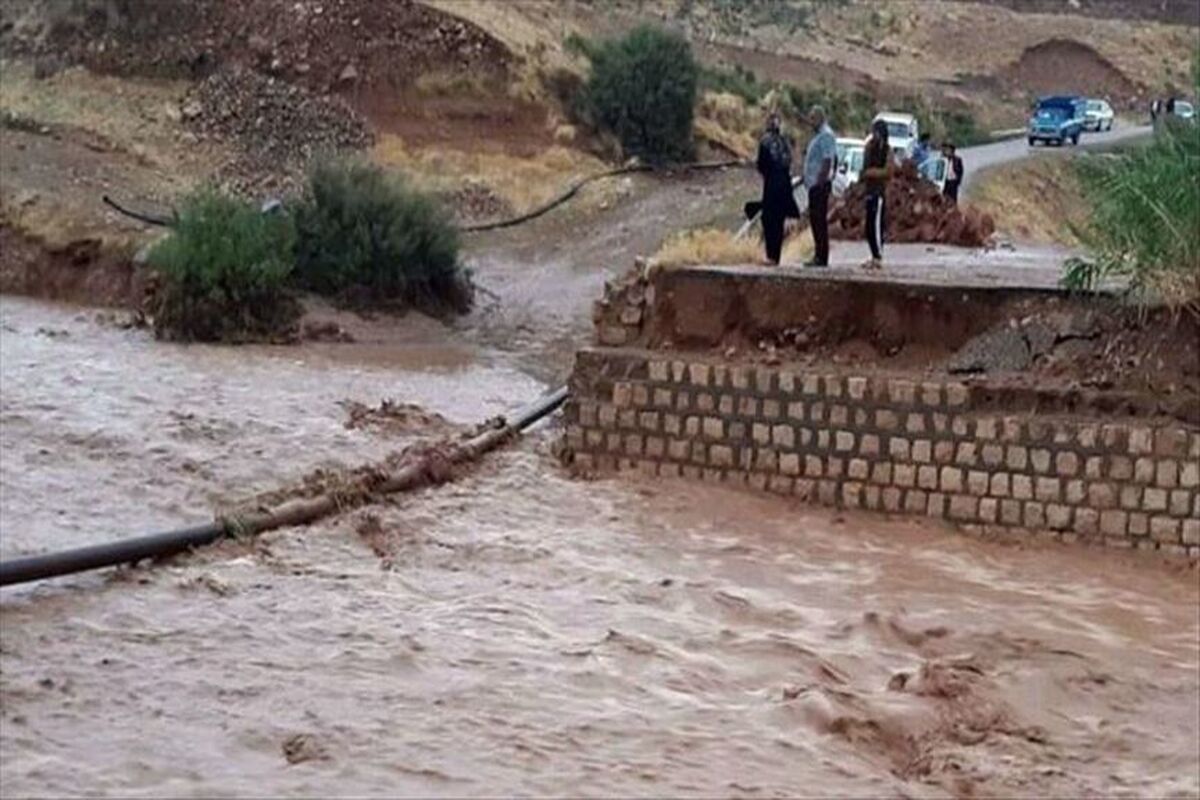 سیل