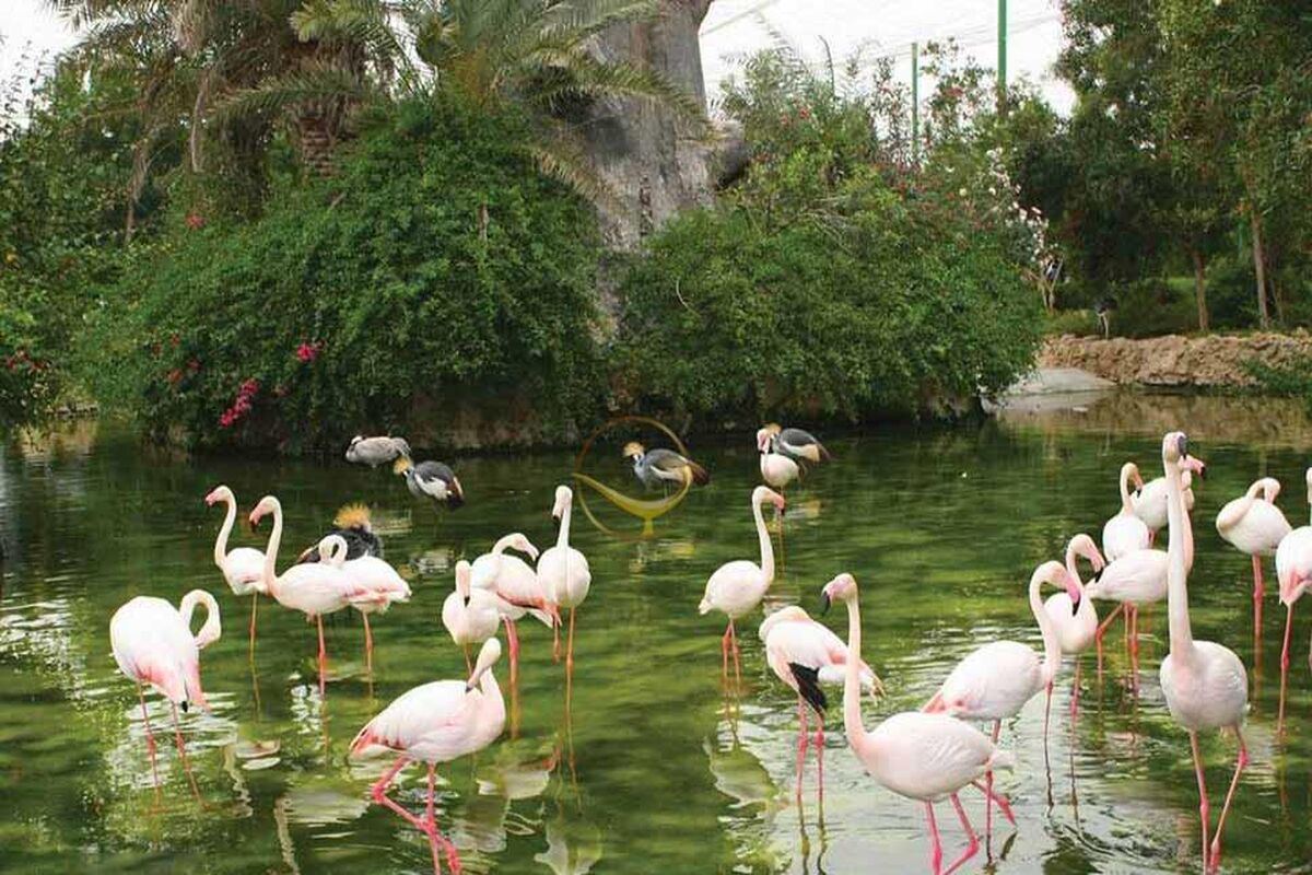 باغ پرندگان اصفهان