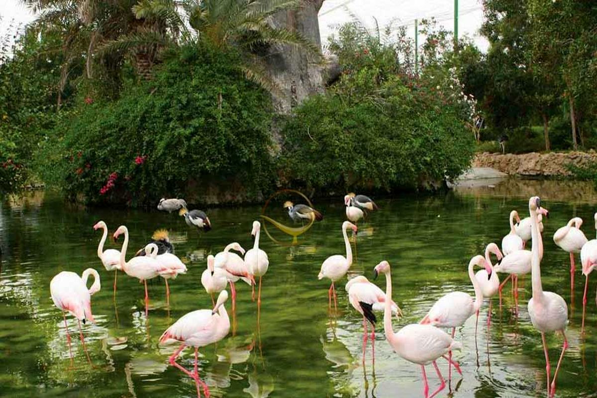 باغ پرندگان اصفهان