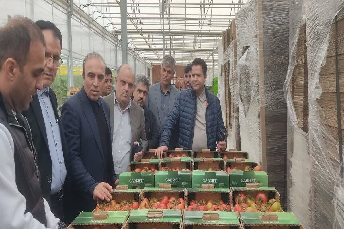 کشت گلخانه ای پارس آباد
