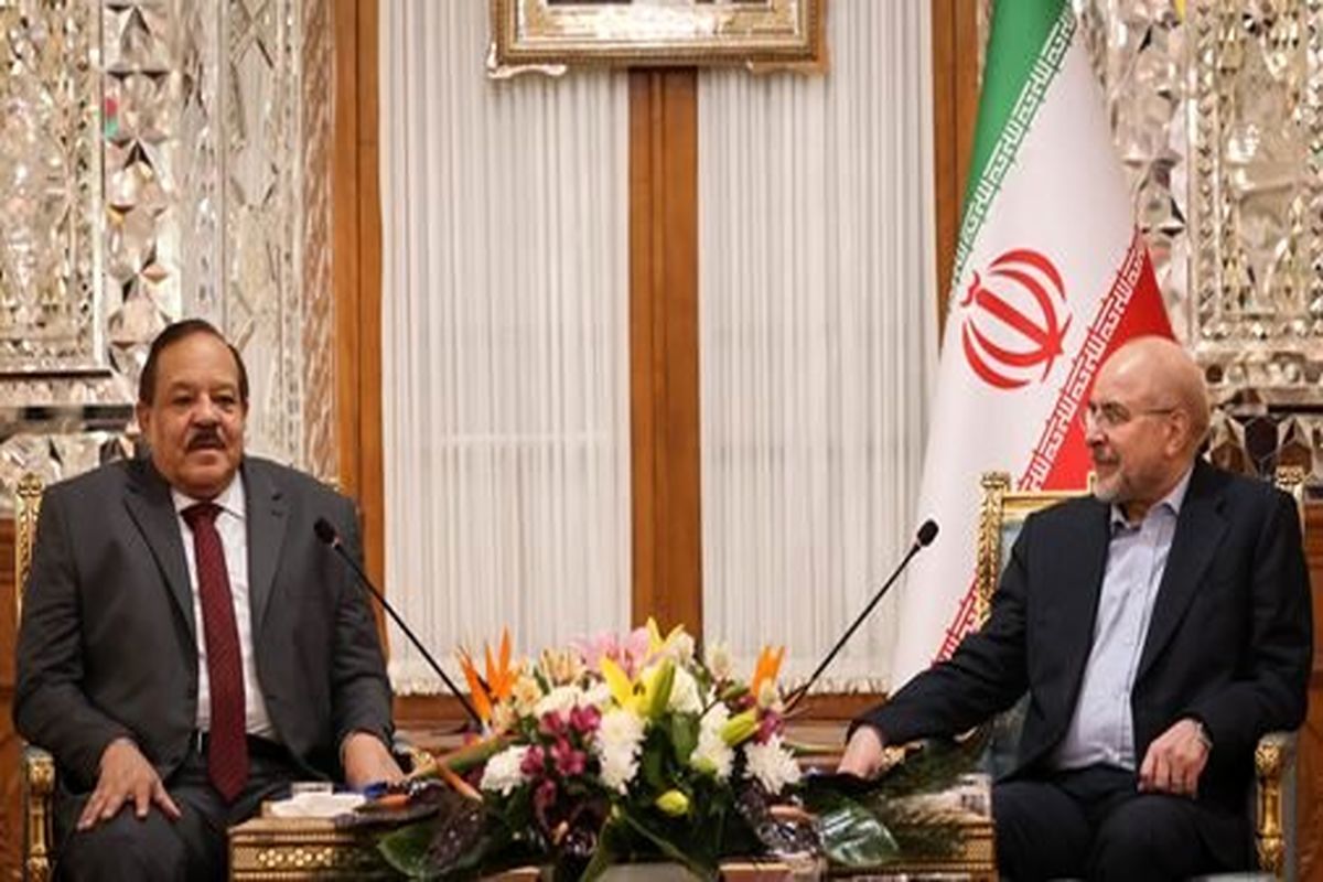 رئیس مجلس در دیدار وزیر خارجه سودان