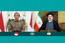 باید در دفاع از ملت مظلوم فلسطین تصمیم گیری مشترک اسلامی انجام شود