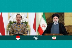 باید در دفاع از ملت مظلوم فلسطین تصمیم گیری مشترک اسلامی انجام شود