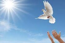 یک محکوم به قصاص به زندگی بازگشت