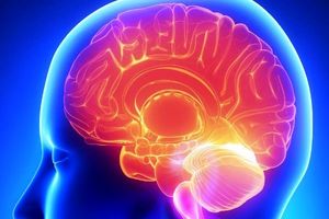 مغز راحین حل مسایل ریاضی تماشا کنید