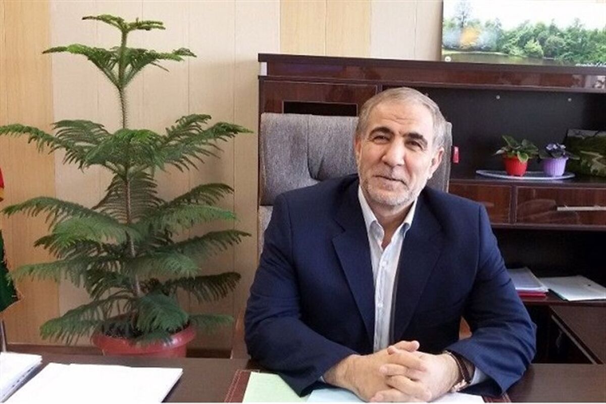 یزد جنگلداری