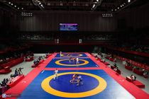 آلبانی به کشتی گیران آزاد و فرنگی ایران ویزا نداد