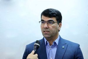 55 هزار میلیارد ریال تسهیلات بانک توسعه تعاون در اجرای مصوبات سفرهای استانی رییس جمهور
