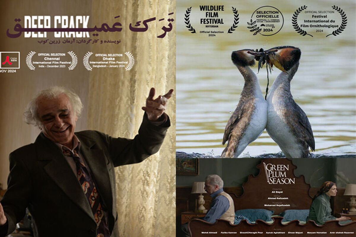 جشنواره فیلم