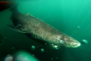 شهرک صنعتی سوغات در مشهد راه‌اندازی شود