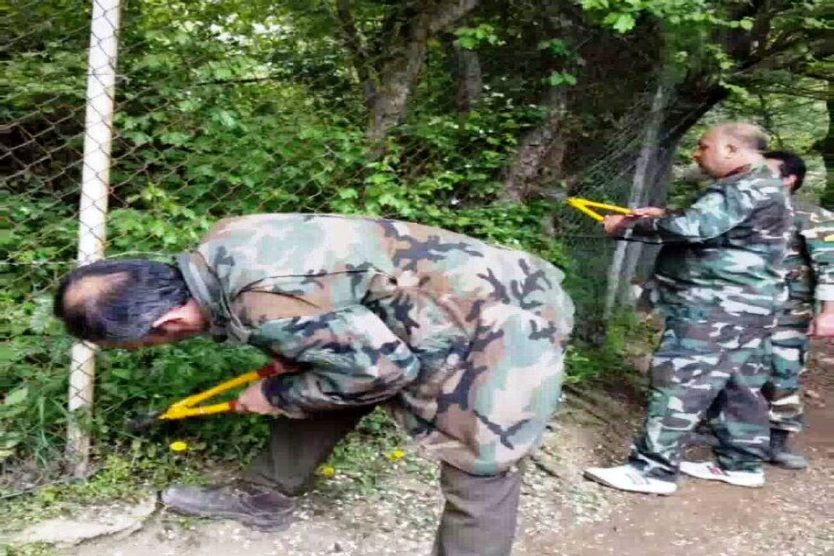 منابع طبیعی کجور