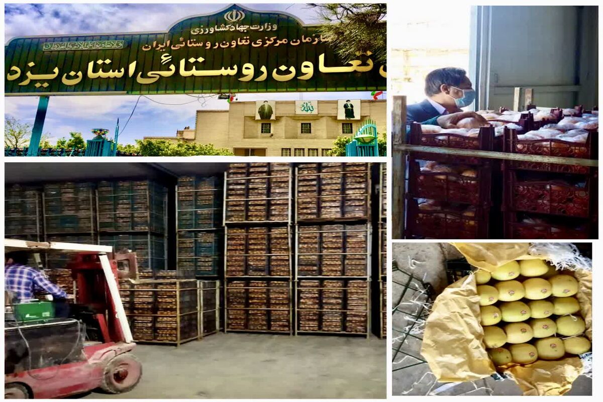  تنظیم بازار یزد