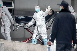 تعداد جان باختگان ویروس کرونا به 724 نفر رسید