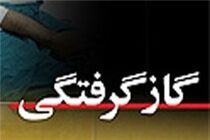 مرگ 2 عضو یک خانواده در اثر گاز گرفتگی در شهرستان برخوار