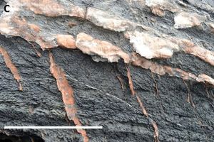 رگ های آبی جدید در مریخ کشف شد