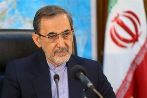 توقع مردم از دولت منتخب در همه جای دنیا مرسوم است/ پرچمداری ایران در منطقه دماغ امریکا  و صعودی ها را به خاک مالیده است

