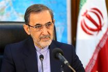 توقع مردم از دولت منتخب در همه جای دنیا مرسوم است/ پرچمداری ایران در منطقه دماغ امریکا  و صعودی ها را به خاک مالیده است
