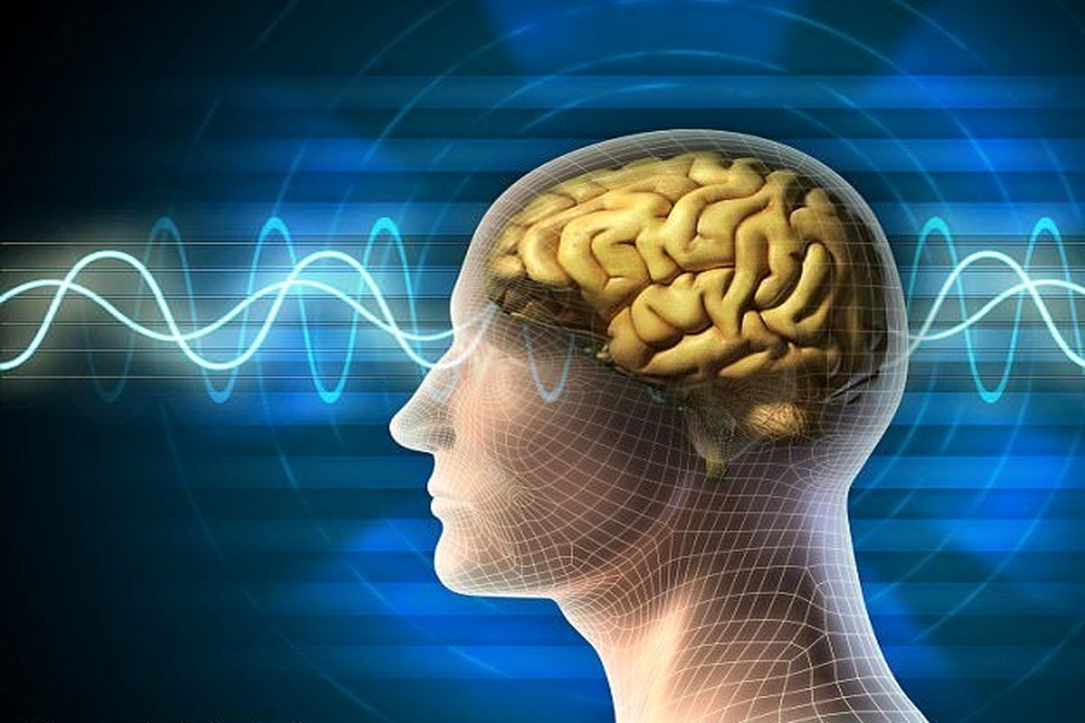 امواج مغزی