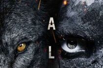 دانلود زیرنویس سریال Alpha 2018 