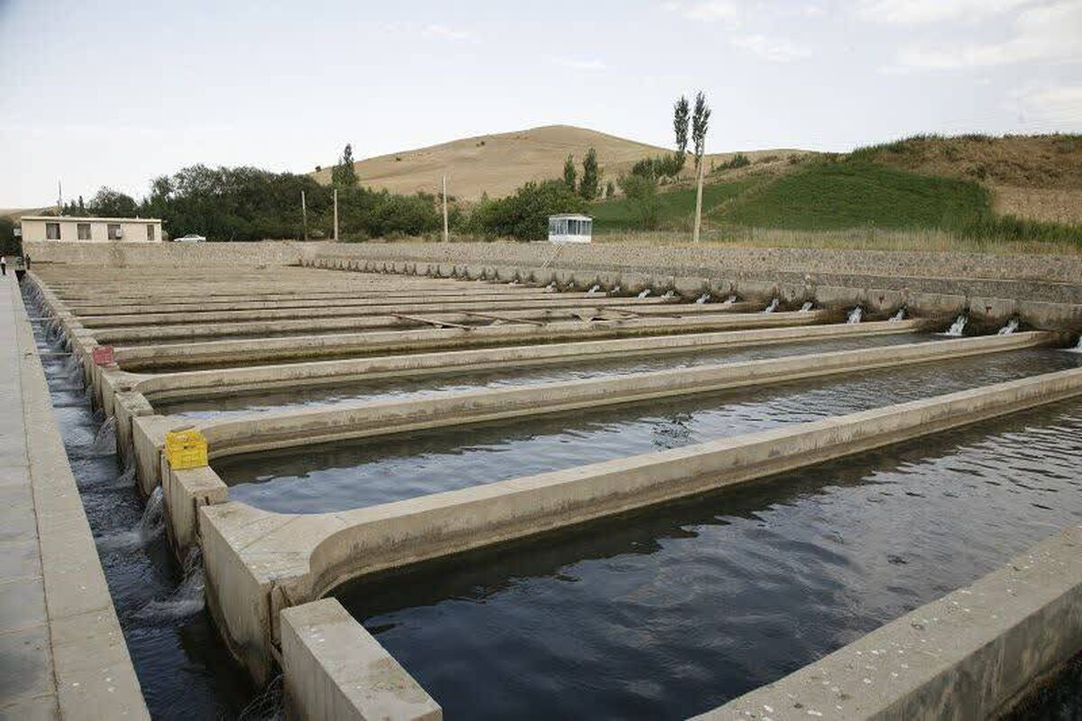 طرح بازسازی و نوسازی مزرعه پرورش ماهی دربند هیر
