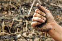 عامل انسانی علت 4 آتش سوزی در بنذرک میناب