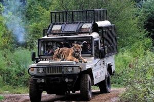 مجوز محیط زیستی فعالیت پارک حیات‌وحش الیمالات نور تعلیق شد