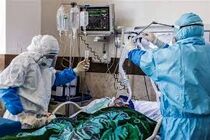 12 بستری جدید کرونایی در منطقه کاشان/ فوت 3 بیمار