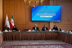 روایت معاون وزیر خارجه از برخورد وحشیانه مسئولان سوئدی با شهروند ایرانی/ شهروند ما را ۲۲ روز در یک جعبه فلزی زندانی کردند! + فیلم