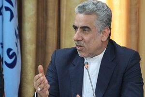 پرداخت بودجه  در پایان سال مزیتی به شمار نمی‌آید 