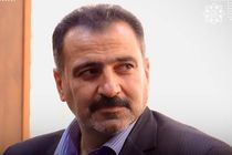 اجرای طرح زنده گیری سگ های پرسه زن به همت شهرداری الوند