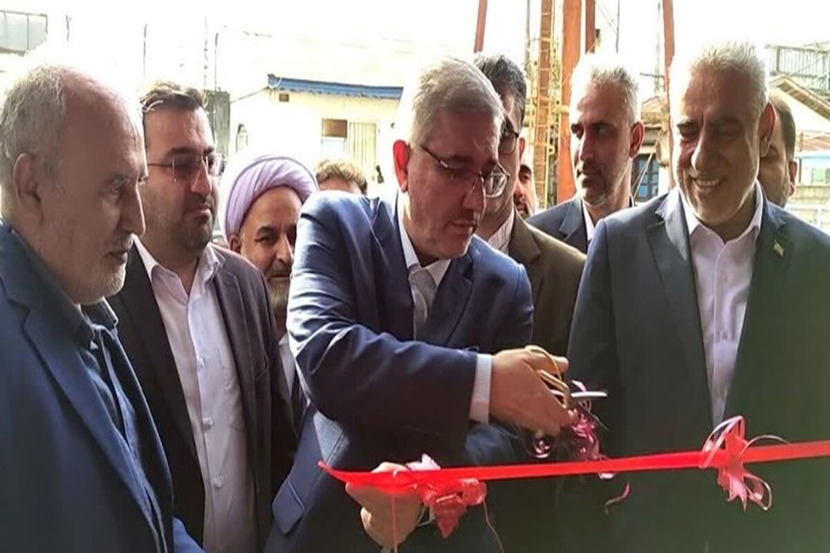 معاون رئیس جمهور 