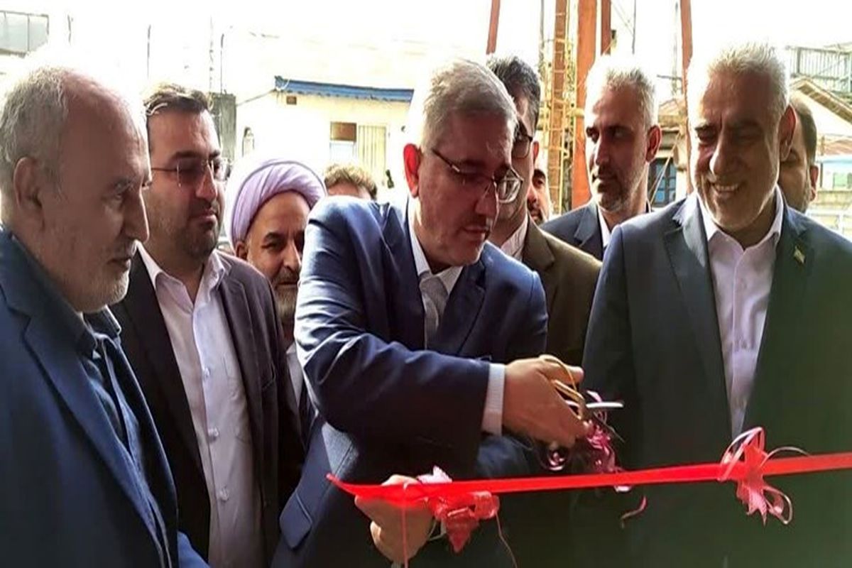 معاون رئیس جمهور 