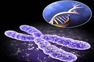 هزارمین رده سلولی شناسنامه دار و ذخیره شد