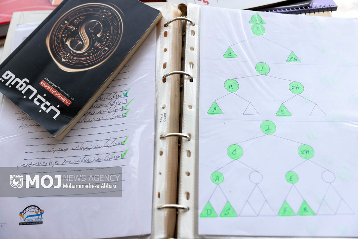 انهدام شرکت هرمی با ۱۰۰ مالباخته