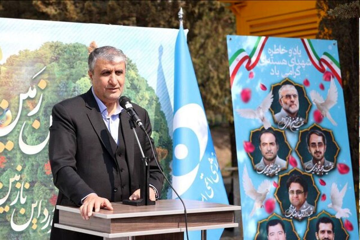 رئیس سازمان انرژی اتمی