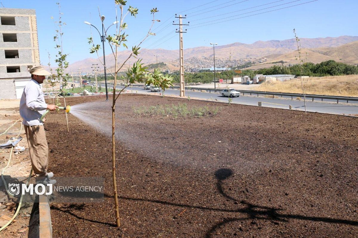 احداث فضای سبز در منطقه سه سنندج