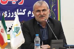 رفع نیازهای داخلی از طریق تولیدات بومی و دانشگاهی در شرایط کوتاه محقق نمی شود