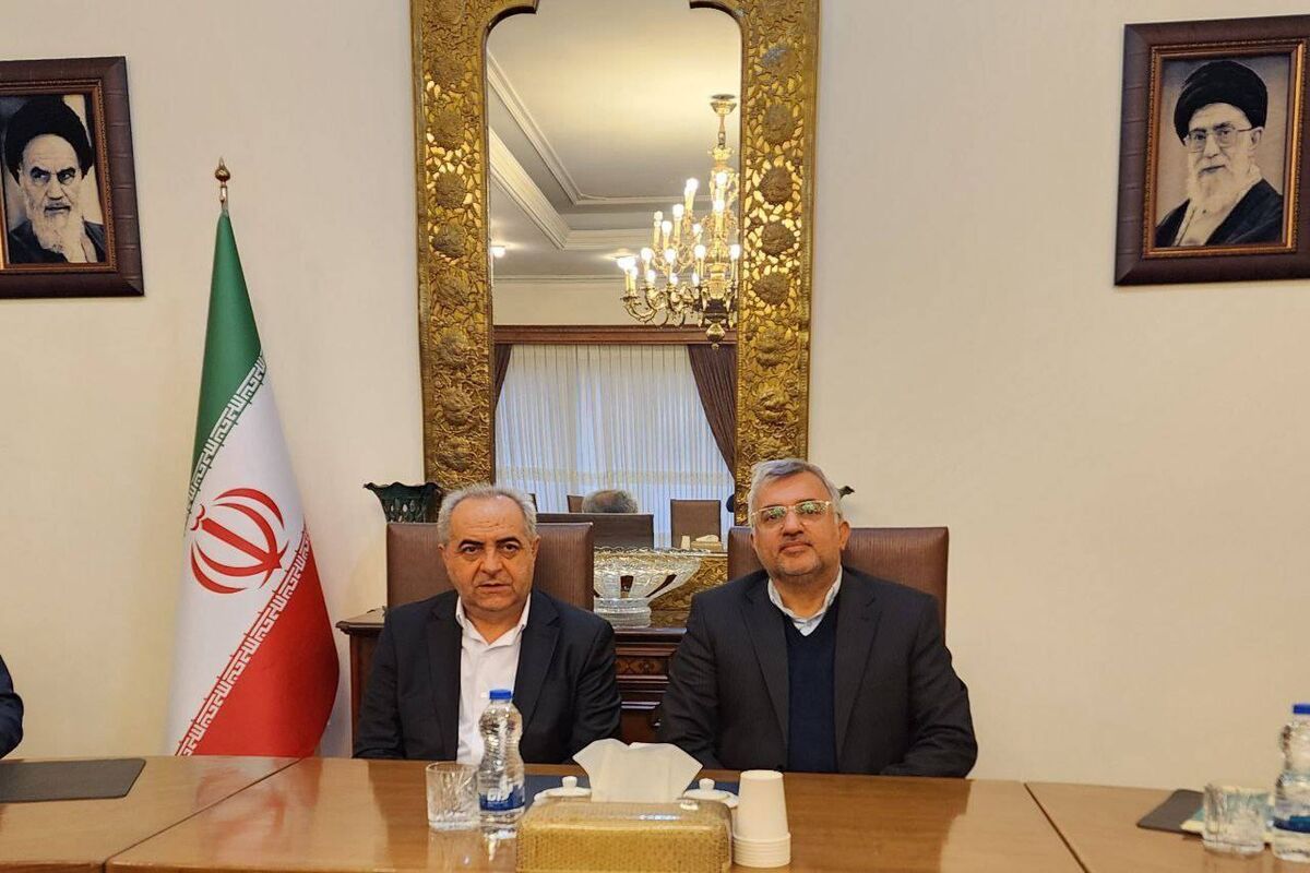 معاون دیپلماسی اقتصادی وزارت امور خارجه
