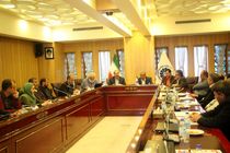 توسعه صادرات معادن مهمترین هدف کمیسیون معادن در سال 97 خواهد بود