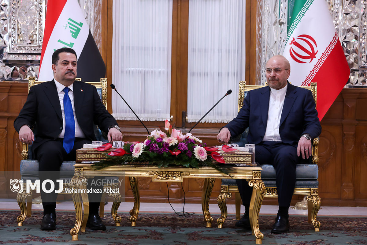 دیدتر نخست وزیر عراق با رئیس مجلس شورای اسلامی