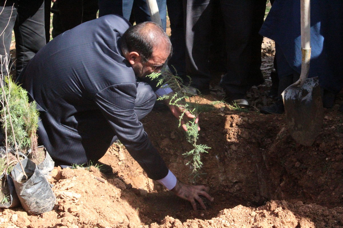 مدیرکل منابع طبیعی و آبخیزداری استان کهگیلویه و بویراحمد